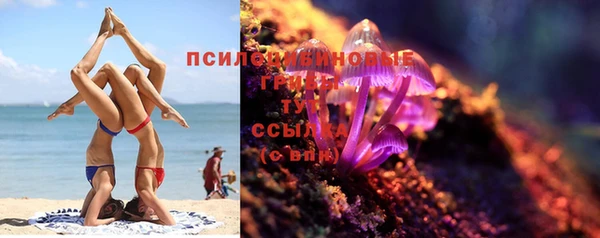 меф Майский