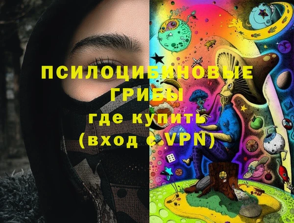 прущие крисы Магадан