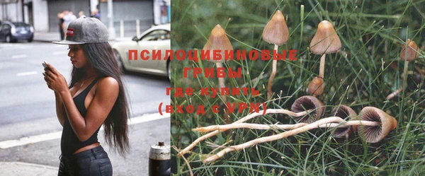 ГАЛЛЮЦИНОГЕННЫЕ ГРИБЫ Медногорск