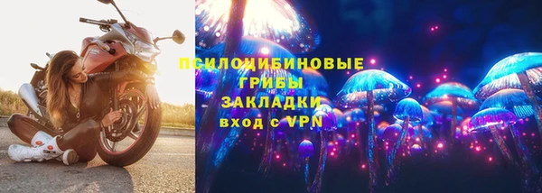 меф Майский