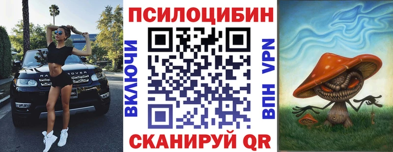 Галлюциногенные грибы Psilocybine cubensis  Купить  Славянск-на-Кубани 